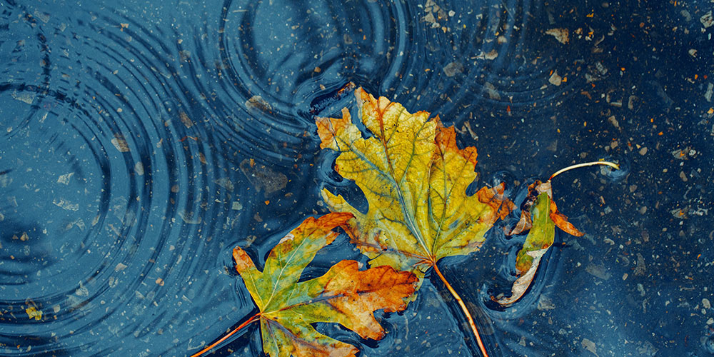 Meditation visual, ripples