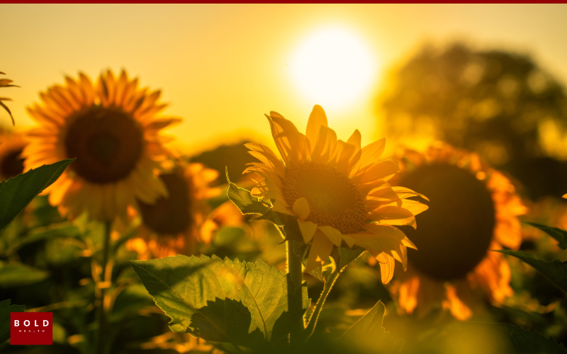 Take the Next Step Toward Healing